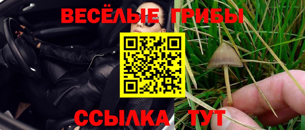 Псилоцибиновые грибы MAGIC MUSHROOMS Коркино