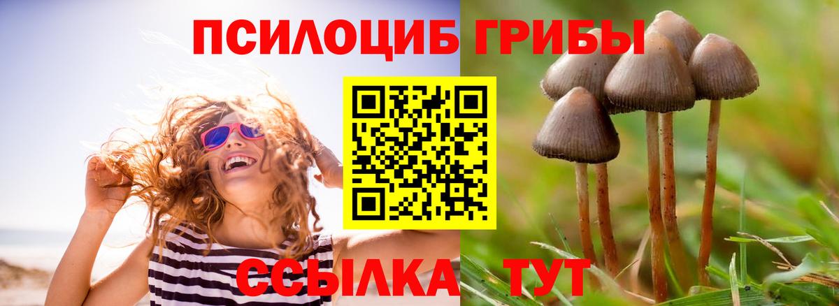 Галлюциногенные грибы мицелий  Вход с VPN  Коркино  Галлюциногенные грибы Cubensis 